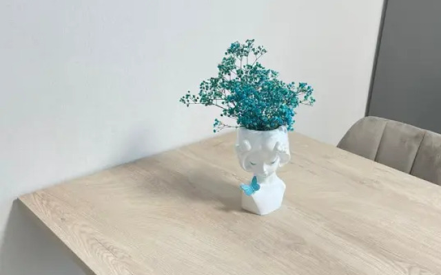 Апартаменты Однокомнатная с 4 мя местами Больничная 2_8