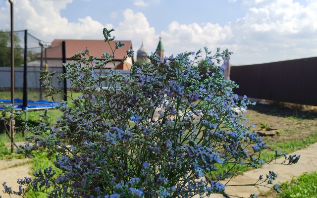 Lyubimaya Dacha Private House
