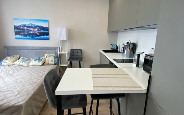 Апартаменты Просторные Дизайнерские в Сочи