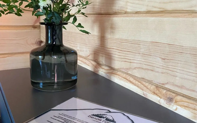 Belaya Gora Guest house