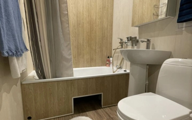 Апартаменты на Большой Технической 8