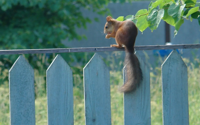 Гостевой дом Гостевой Домик с Баней