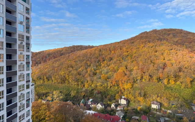 Апартаменты Двухкомнатные с кухней-гостиной