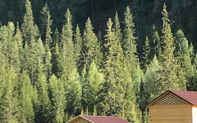 Гостевой дом Акташ Oasis