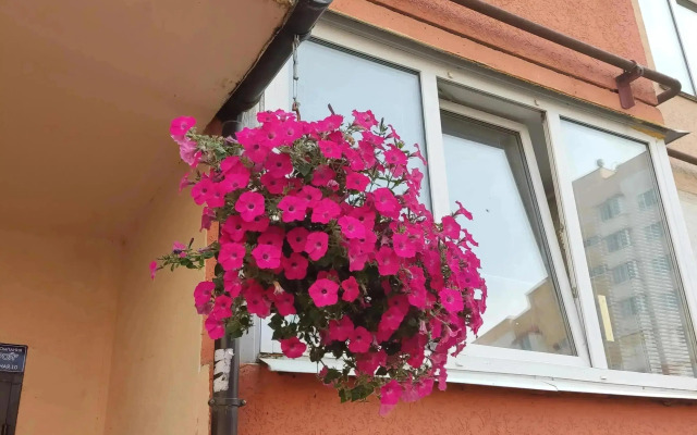Sovremennaya 2 Komnatnaya U Vokzala Flat
