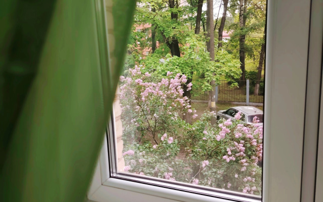 Svetlaya Dvukhkomnatnaya V Zhukovskom Flat