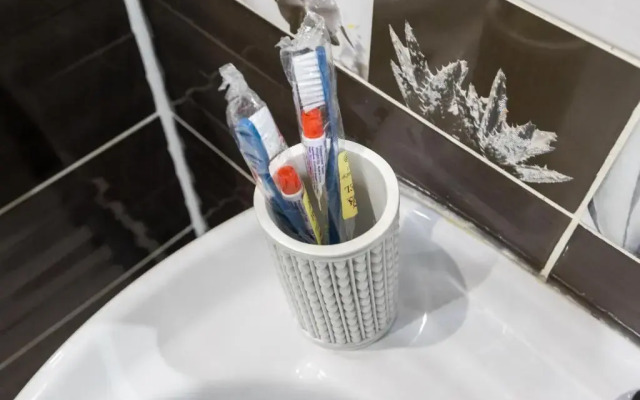 Квартира Толстой Пионерская Gold