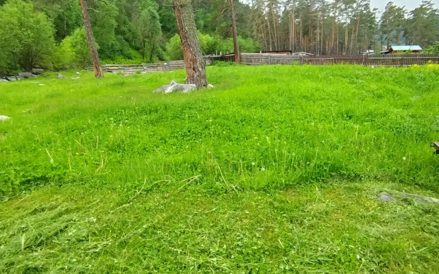 Частный дом Глубинка Алтая