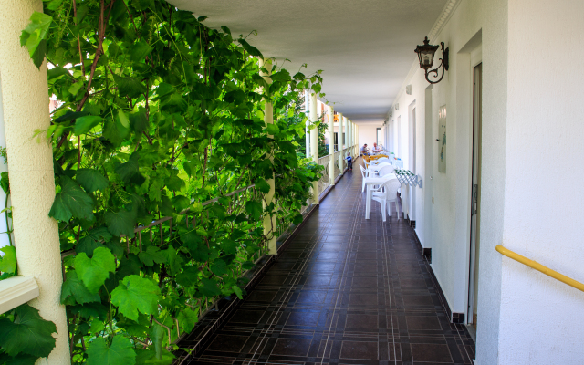 Panorama Guest House