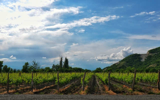Burki Castle & Cellar Hotel
