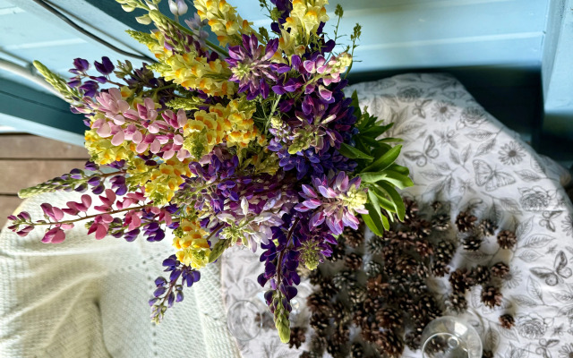 Частный дом Шишкин дом в 15 минутах от Северодвинска