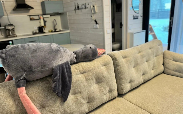 Частный дом 3