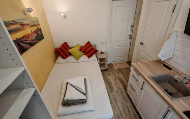 Апартаменты Уютная студия, рядом с Шереметьево