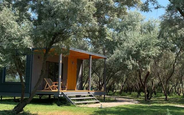 Глэмпинг Поляна