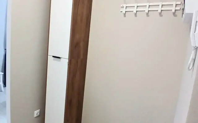 V Tsentre S Shikarnym Vidom Apartments