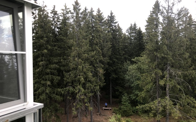 Апартаменты на Софьи Ковалевской 14a