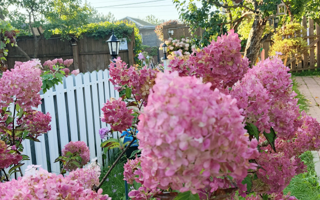 Гостевой дом Чибис