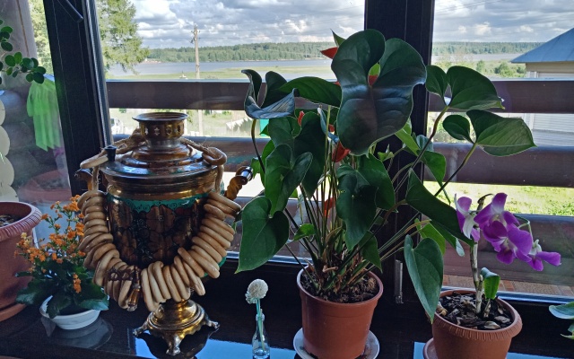 Гостевой дом Мышкин двор Барабановъ