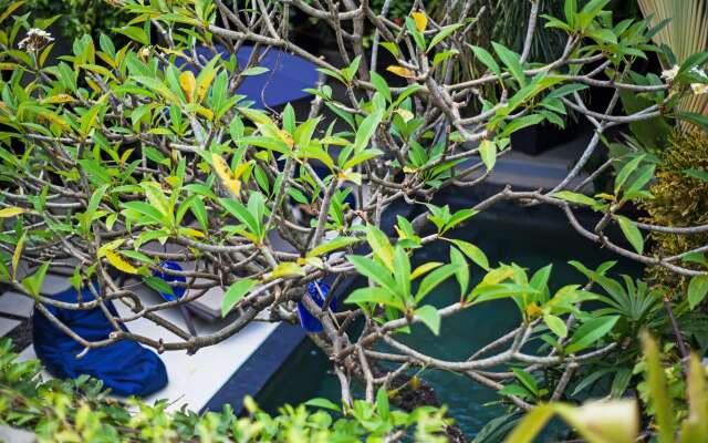 Вилла Casa-Retro Courtyard