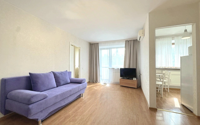 Dvukhkomnatnaya S Balkonom i Konditsionerom V Tsentre Na Vesenney Flat