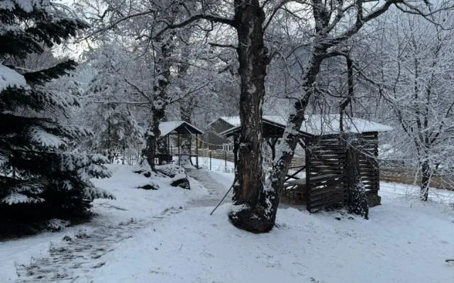 Woodland Recreation camp