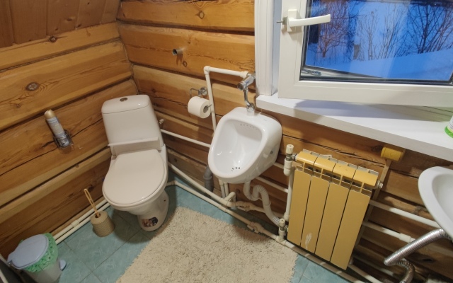 Vintazhny Dom Guest house