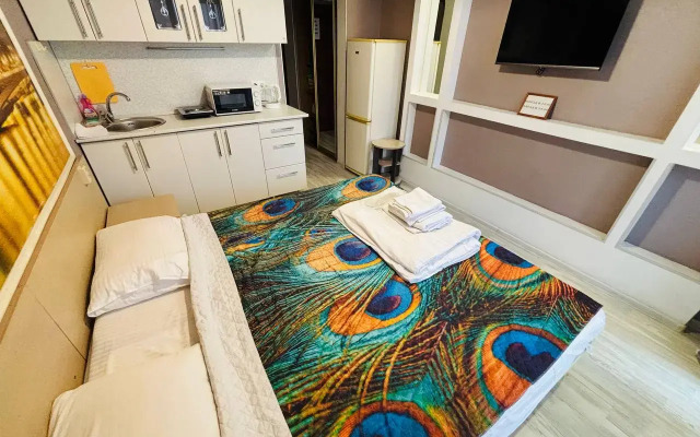 Studiya S Balkonom I Vannoy Apartment