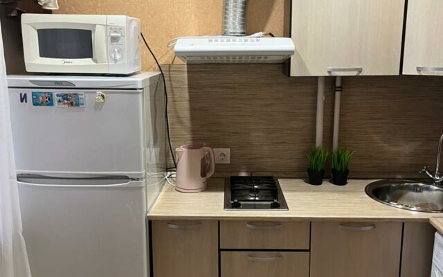 Апартаменты 1-комнатные в Центре Города на Ленина