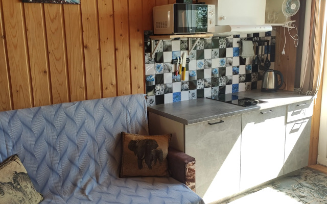 Piknikki Gromovskoye selskoye poselenie Apartments 1