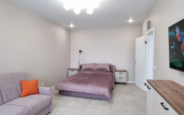 V Tsentre na Ozere u Kanta Apartments