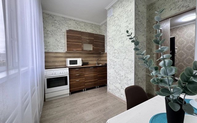 Uyutnye s Balkonom v Tsentre Goroda Apartments