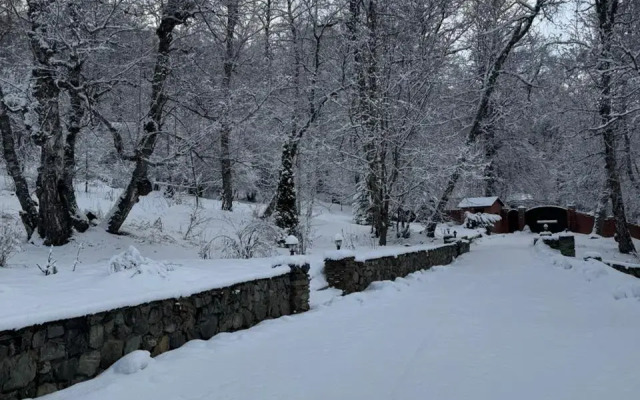 Woodland Recreation camp