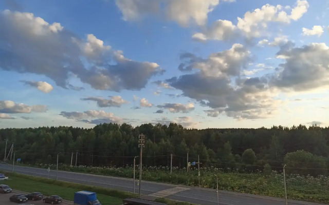 Квартира Комфорт для Успеха с Видом на Лес