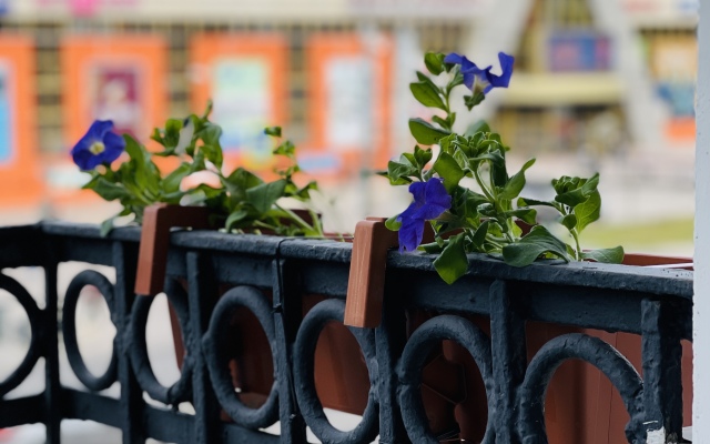 Квартира в Доме Культурного Наследия Трубящий Олень