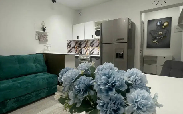Uyutnaya Studiya V Tsentre Flat