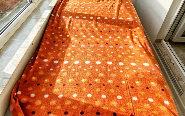 Turgenev Apartment In Zelenogradsk Apartments