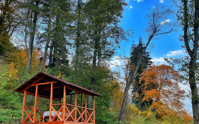 Шале Чинара