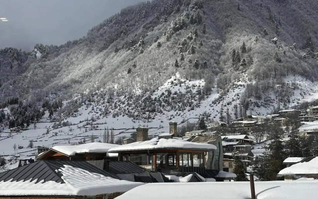 Maximus apartments in Mestia