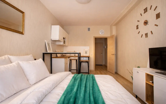 Апартаменты Студия Natalie Apartments Пулковское шоссе 14 Е (18)
