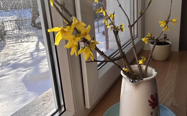 Квартира Шкатулка Амалиенау