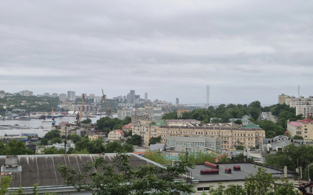 S Novym Remontom Nevelskogo Flat