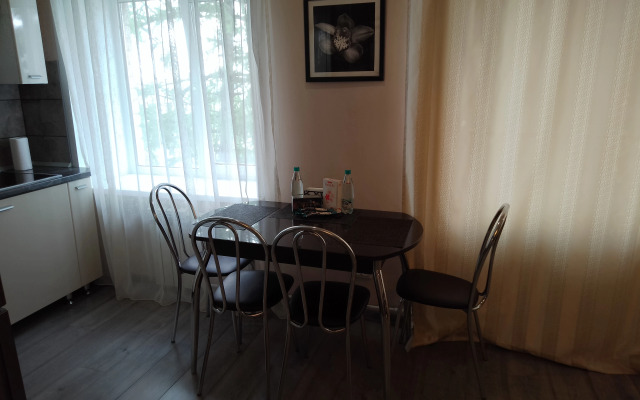 U Tatyyany Apartment