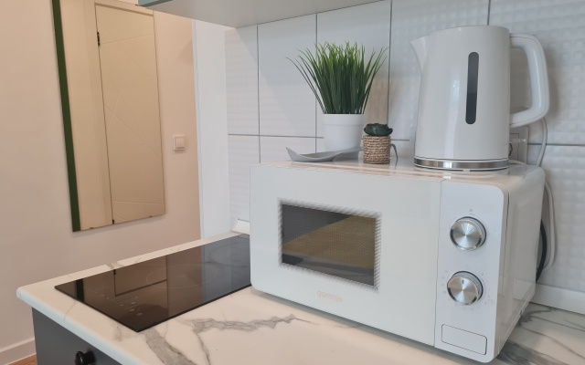 Двухместные апартаменты Comfort с красивым видом из окна — фото 4
