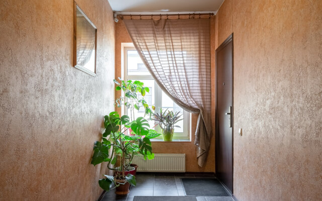 Apartamenty-studiya On Isaakievskoy Apartment