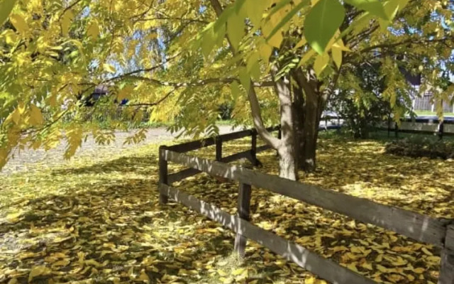 Гостевой дом На радужном берегу