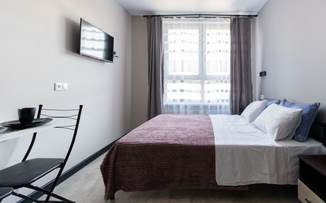 Studiya Na P. Romanova Apartments