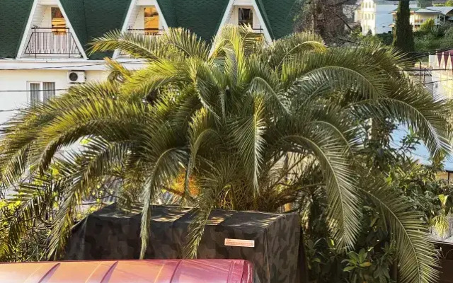 Araik Guest house