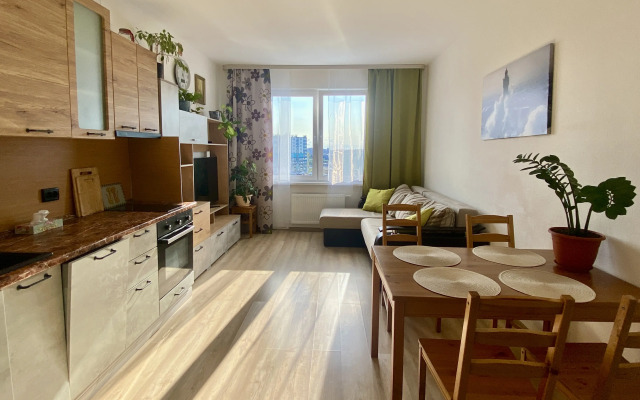 Inroomspb Na Yevgeniya Shvartsa 11 Flat