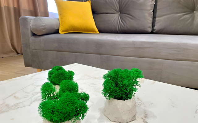 Апартаменты Grand Palace 1427