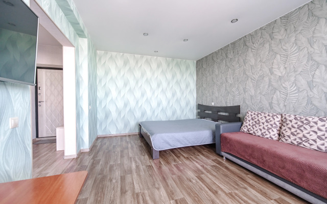 Zejskaya 220 Apartments